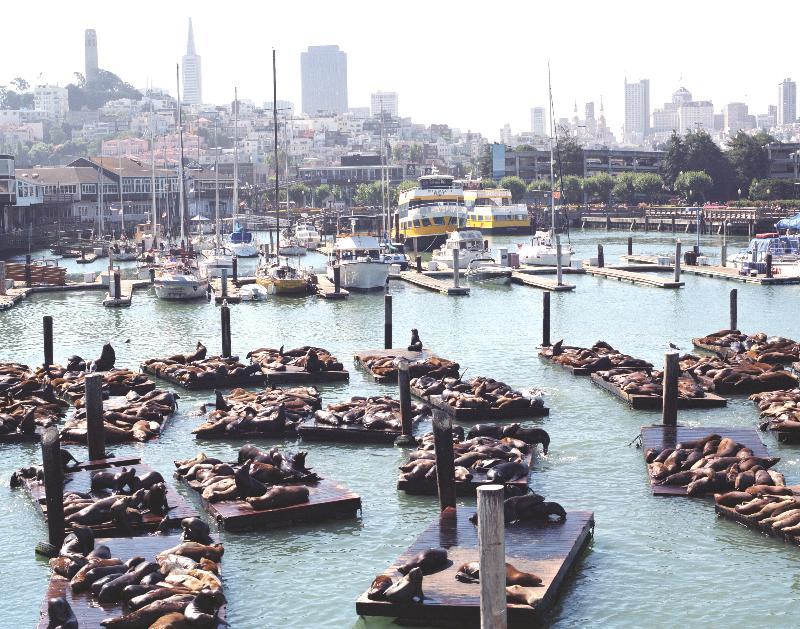 سان فرانسيسكو Courtyard By Marriott Fishermans Wharf المظهر الخارجي الصورة